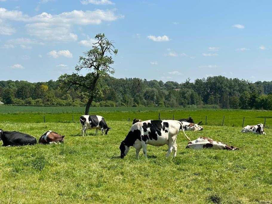 Vakantiewoning Hoogveld Kortessem Екстериор снимка