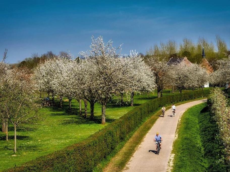 Vakantiewoning Hoogveld Kortessem Екстериор снимка